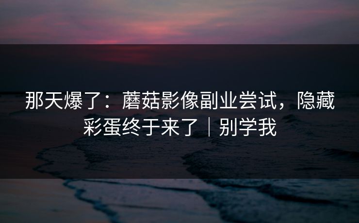 那天爆了：蘑菇影像副业尝试，隐藏彩蛋终于来了｜别学我