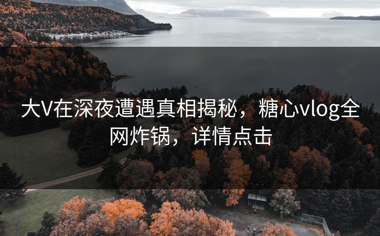 大V在深夜遭遇真相揭秘，糖心vlog全网炸锅，详情点击