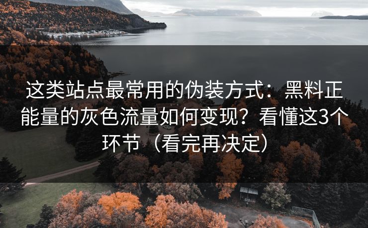 这类站点最常用的伪装方式：黑料正能量的灰色流量如何变现？看懂这3个环节（看完再决定）